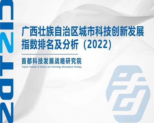 笨BB被日【成果发布】广西壮族自治区城市科技创新发展指数排名及分析（2022）